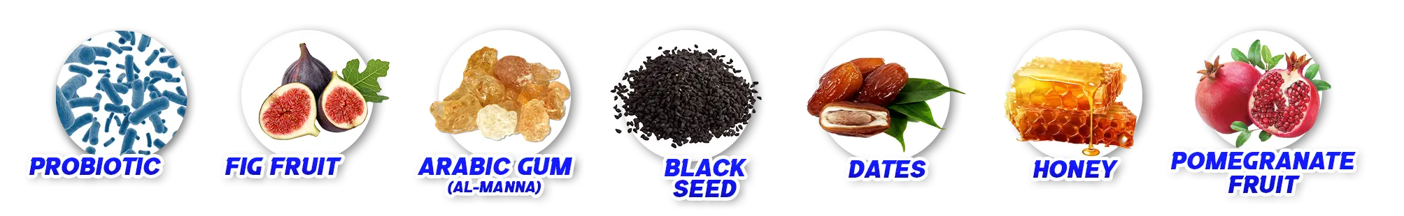 1. Bahan2 Golac Gastrovenger 2 (1)